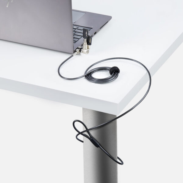 StarTech.com 3-in-1 Universeel Laptop Kabelslot, 2m Security Kabel met Master Key, Computer Beveiliging, Compatibel met Noble We - Afbeelding 7
