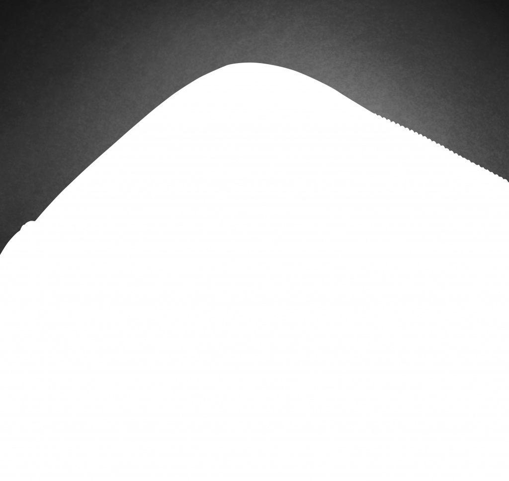 HP Professional 15,6-inch laptoptas - Afbeelding 6