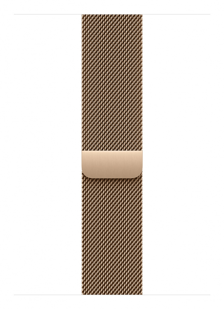 Apple MGJ44ZM/A slimme draagbare accessoire Band Goud Roestvrijstaal