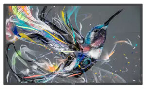 Philips Signage Solutions 75BDL3511Q/00 beeldkrant Digitale signage flatscreen 190,5 cm (75") IPS 400 cd/m² 4K Ultra HD Zwart