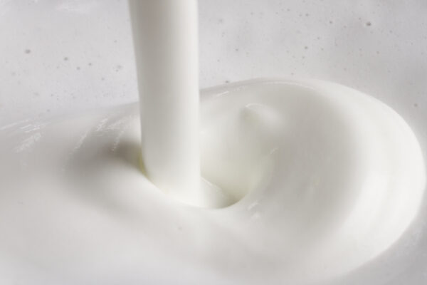 Senseo Milk Twister CA6500/60 Melkopschuimer - Afbeelding 12