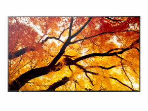 Sharp MultiSync M432 Digitale signage flatscreen 108 cm (42.5") LCD 550 cd/m² 4K Ultra HD Zwart