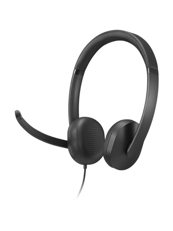 Lenovo VoIP Headset 5000 Bedraad Hoofdband Kantoor/callcenter USB Type-C Zwart - Afbeelding 2