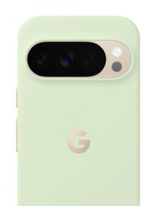 Google Pixelsnap mobiele telefoon behuizingen 17,3 cm (6.8") Hoes Groen