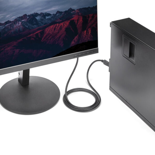 StarTech.com 1,80 m DisplayPort naar DVI Video Converter Kabel M/M - Afbeelding 6