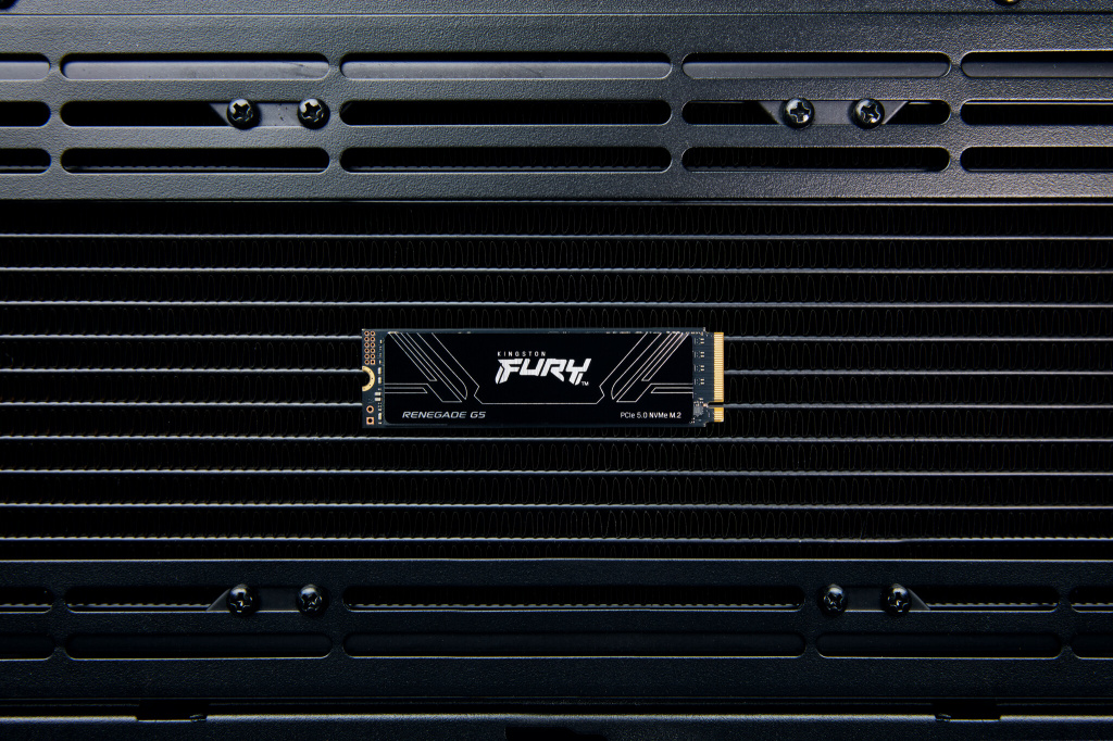 Kingston Technology 4T FURY RENEGADE G5 M.2 2280 NVMe SSD - Afbeelding 6
