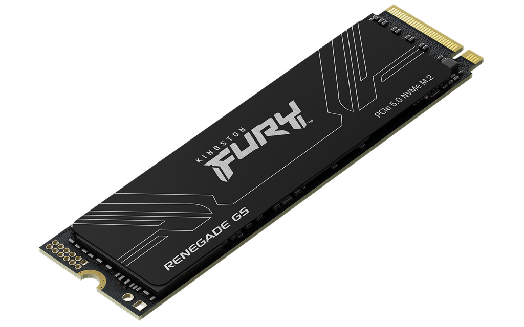 Kingston Technology 4T FURY RENEGADE G5 M.2 2280 NVMe SSD - Afbeelding 3