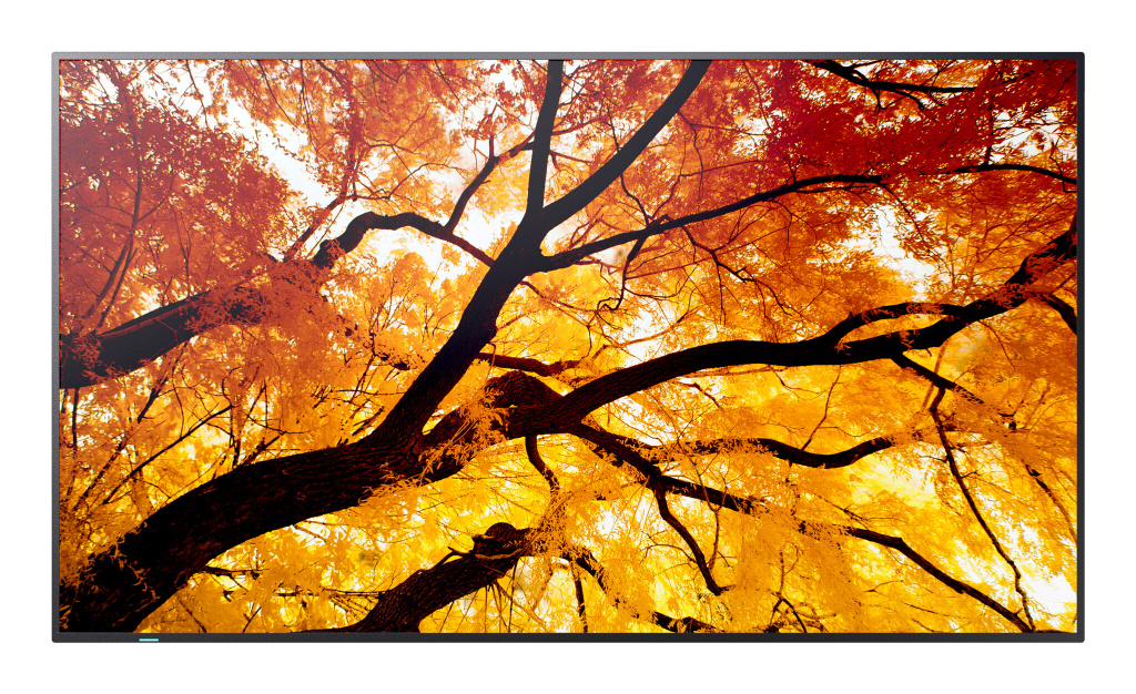 Sharp MultiSync M432 Digitale signage flatscreen 108 cm (42.5") LCD 550 cd/m² 4K Ultra HD Zwart