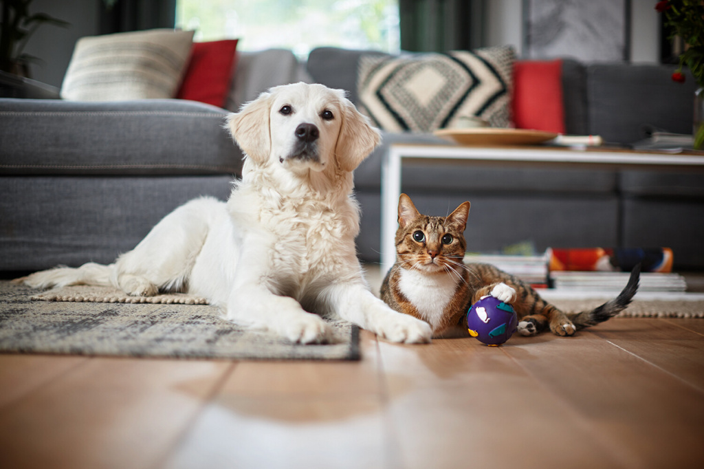 Philips PowerPro Expert FC9744/09 Stofzuiger zonder zak - Afbeelding 7