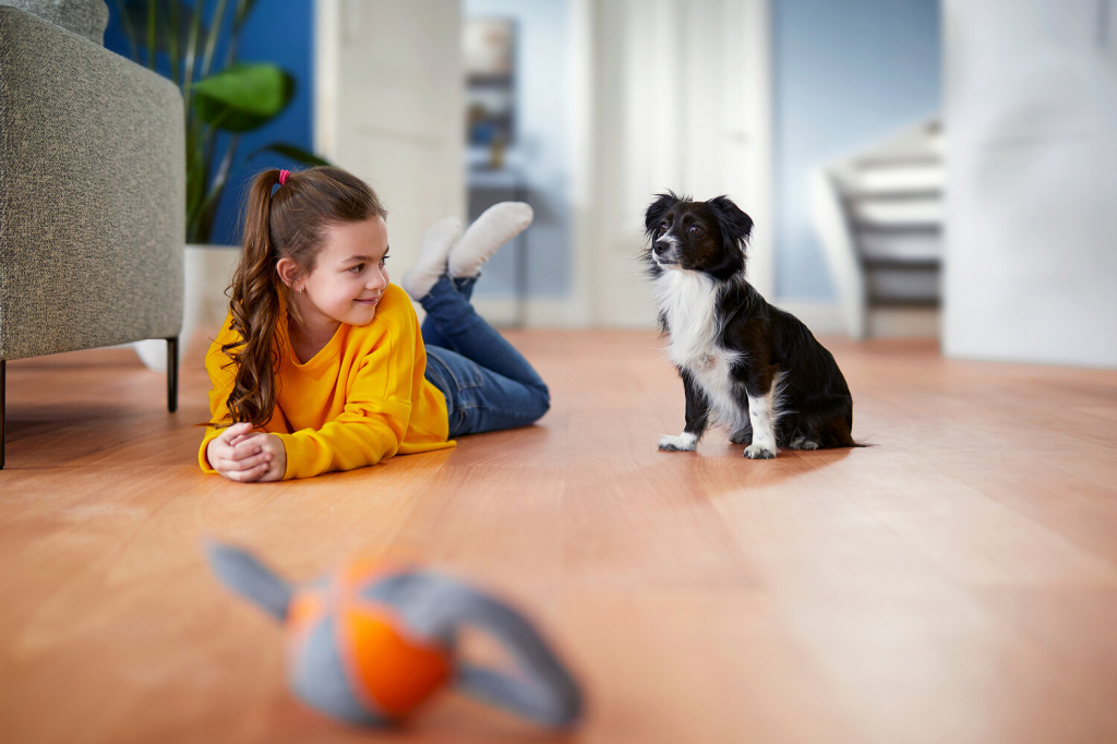 Philips PowerPro Expert FC9744/09 Stofzuiger zonder zak - Afbeelding 6