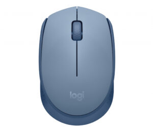 Logitech M171