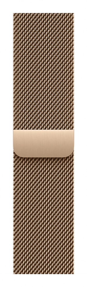 Apple MGJ04ZM/A slimme draagbare accessoire Band Goud Roestvrijstaal