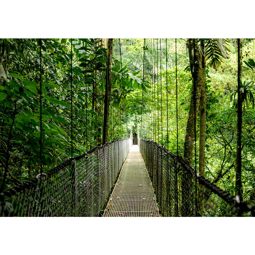 HP EliteBook 6 EB6G1i16 U7 255H 16 64GB/1T PC NL Intel Core Ultra 7 Laptop 40,6 cm (16") WUXGA DDR5-SDRAM 1 TB SSD Wi-Fi 7 (802. - Afbeelding 9