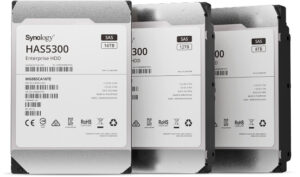 Synology HAS5300-12T interne harde schijf 12 TB 7200 RPM 256 MB 3.5" SAS