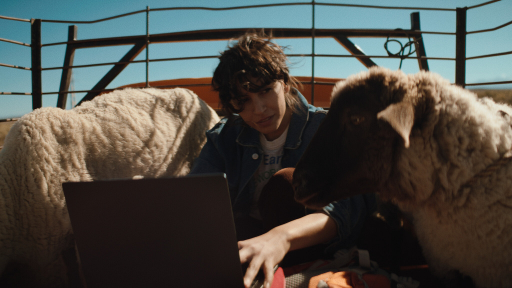 ASUS ProArt P16 H7606WX-SE002X Copilot+ PC AMD Ryzen AI 9 HX 370 Laptop 40,6 cm (16") Touchscreen WQUXGA 64 GB LPDDR5x-SDRAM 4 T - Afbeelding 16