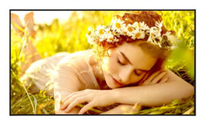 LG 55UL5Q-E beeldkrant Digitale signage flatscreen 139,7 cm (55") LED Wifi 350 cd/m² 4K Ultra HD Zwart WebOS 24/7