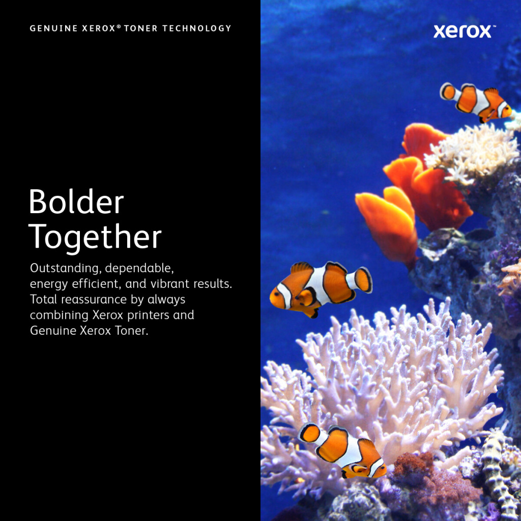 Xerox WorkCentre 6515, Phaser 6510 Tonercartridge met extra hoge capaciteit, cyaan (4300 pagina's) - Afbeelding 11