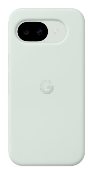 Google GA10872-WW mobiele telefoon behuizingen 16 cm (6.3") Hoes Groen