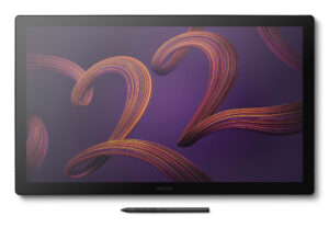 Wacom Cintiq Pro 22 grafische tablet Zwart 476 x 268 mm USB