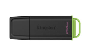 Kingston Technology DataTraveler 256GB Portable USB 3.2 Gen 1 Exodia Black/Green