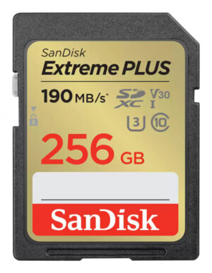 SanDisk SDSDXW2-256G-GNCIN 256 GB SDXC Klasse 10