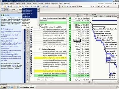 Microsoft Project Standard Projectmanagement Microsoft Volume License (MVL) 1 licentie(s) - Afbeelding 4