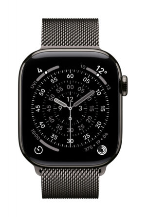 Apple MGJ14ZM/A slimme draagbare accessoire Band Leisteenkleur Roestvrijstaal