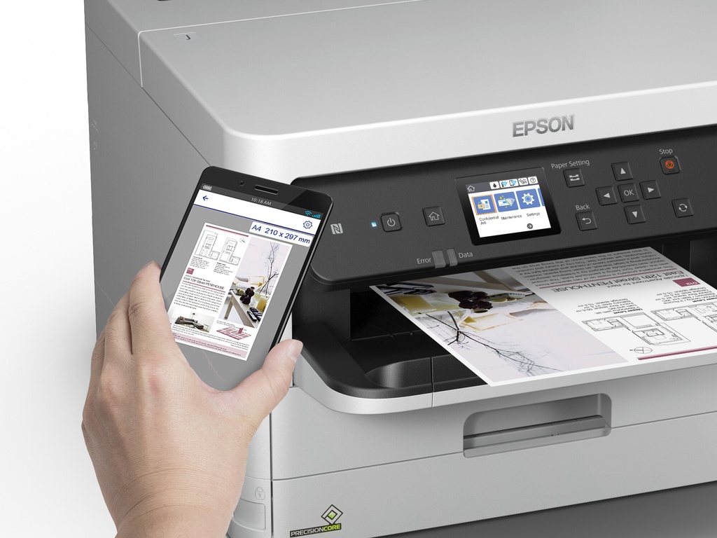 Epson DURABrite Pro - Afbeelding 4