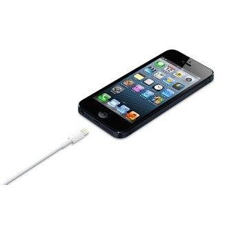 Apple Lightning / USB 0,5 m Wit - Afbeelding 4