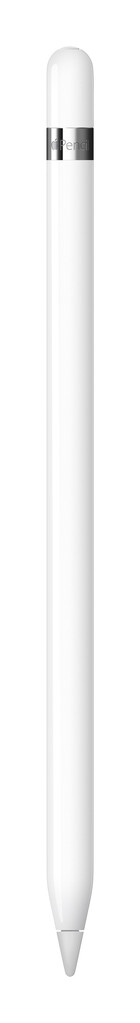Apple Pencil (1st generation) stylus-pen 20,7 g Wit