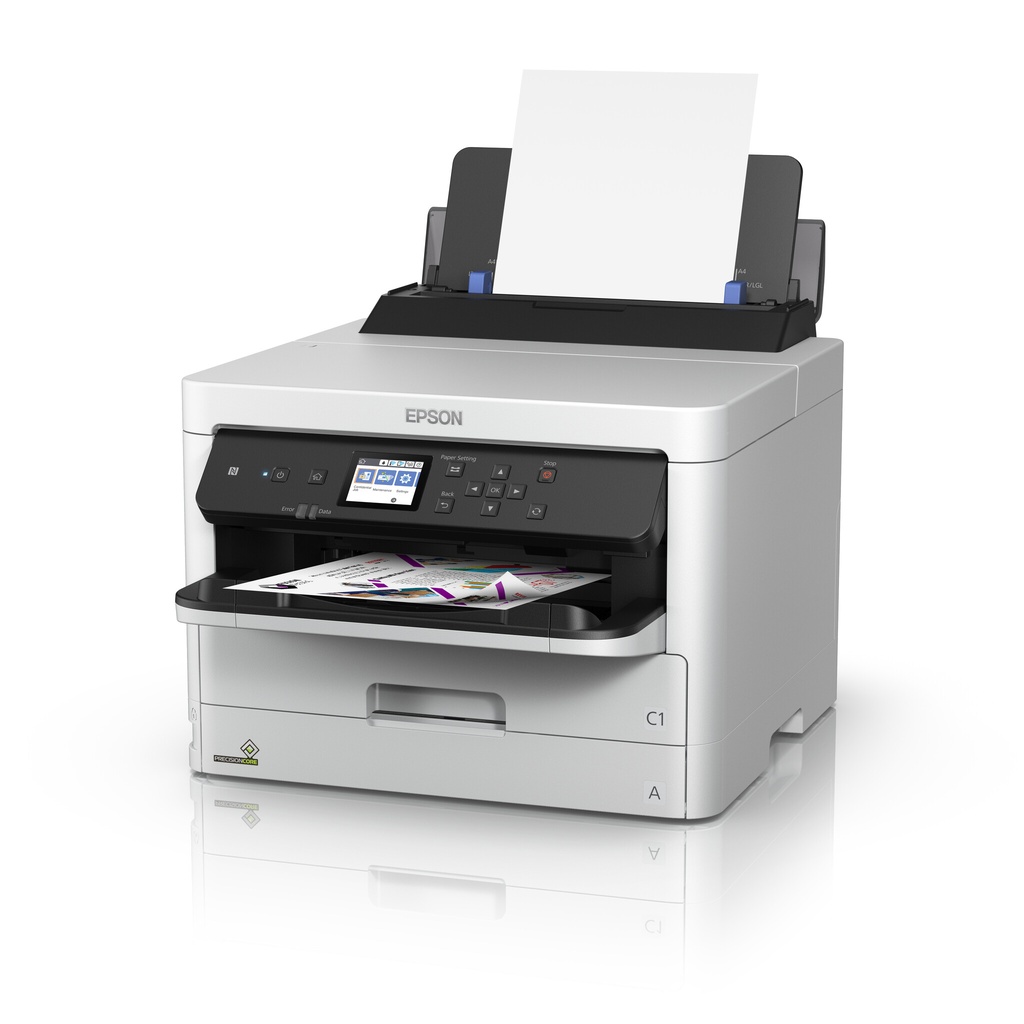 Epson DURABrite Pro - Afbeelding 2