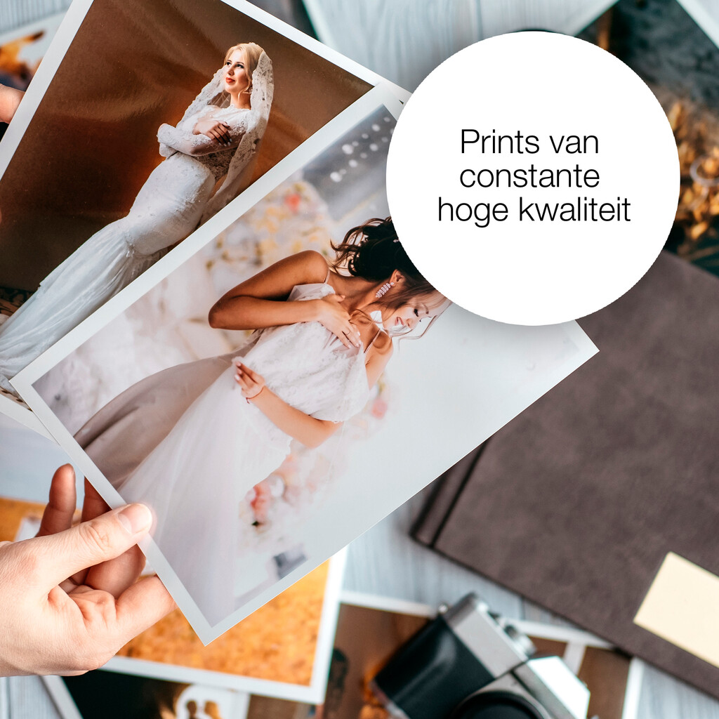 Epson Hummingbird Singlepack Magenta T0803 Claria Photographic Ink - Afbeelding 3