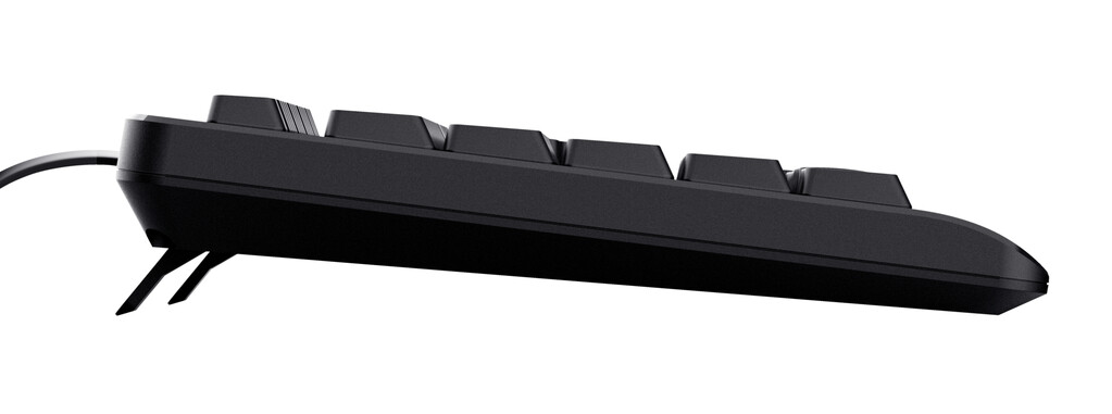 Trust TK-150 Toetsenbord - Bedraad toetsenbord – QWERTY US-indeling – Full-size toetsenbord – Business Model - Zwart - Afbeelding 4