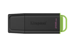 Kingston Technology DataTraveler 256GB Portable USB 3.2 Gen 1 Exodia Black/Green