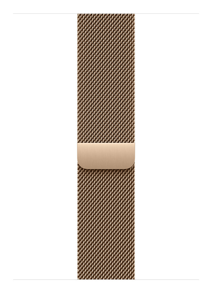 Apple MGJ44ZM/A slimme draagbare accessoire Band Goud Roestvrijstaal